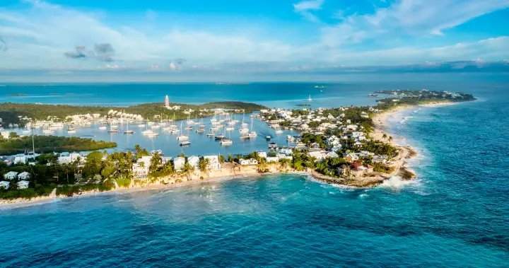 U.S. tourist missing after husband says she fell from boat on Bahamas trip – National