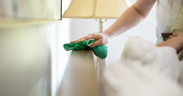 The Curator: Your spring cleaning questions, answered! – National