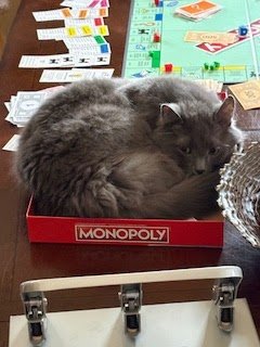 Tuesday Night Cat Blogging