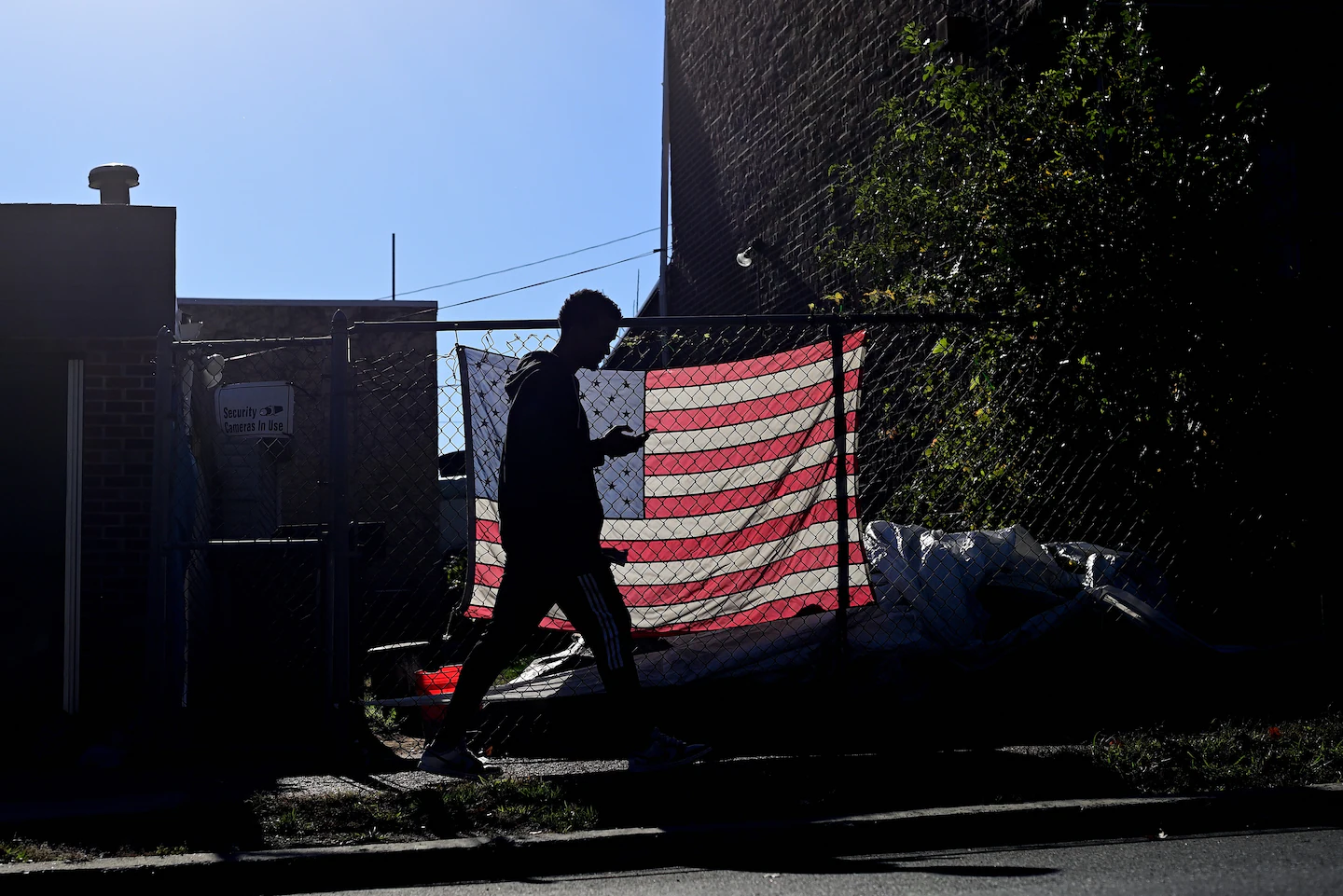 Higher social media use linked to lower support for democracy, poll shows