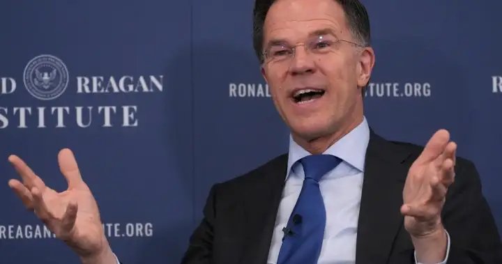 NATO chief says he understands Trump’s ‘disappointment’ with allies on Iran – National