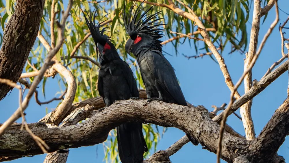 Louis Vuitton Unveils Regeneration 2030 Plan for Sustainability Goals