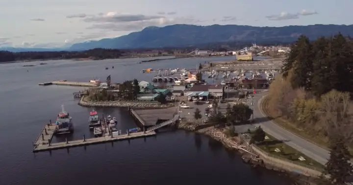 Port Alberni harbour residents say noise pollution is affecting their way of life – BC