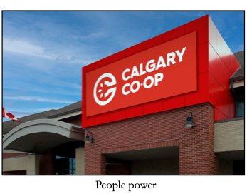 Public grocery stores—a good idea, or not?