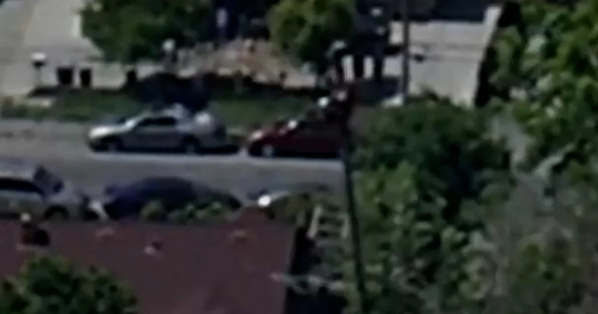 First responders rescue man trapped on top of palm tree