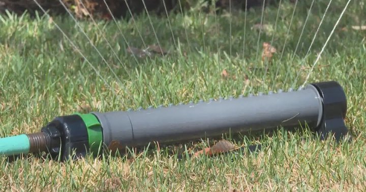 Calgary city council approves outdoor watering schedule as part of demand reduction plan – Calgary