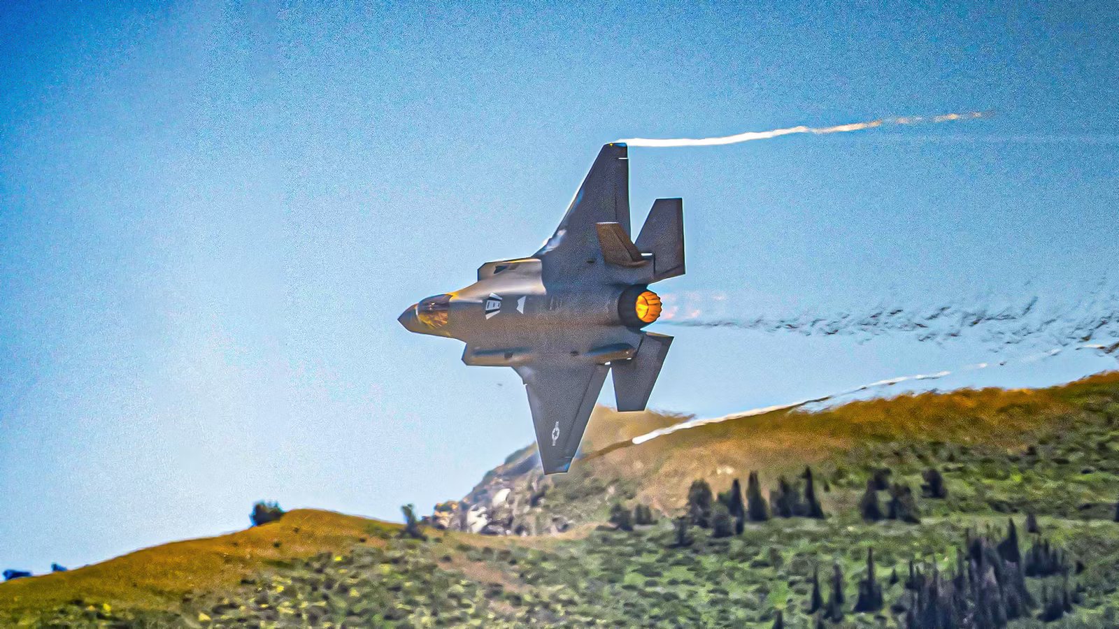 Here’s Why The US Air Force Chose The F-35A Over The F-22 For Export Partners