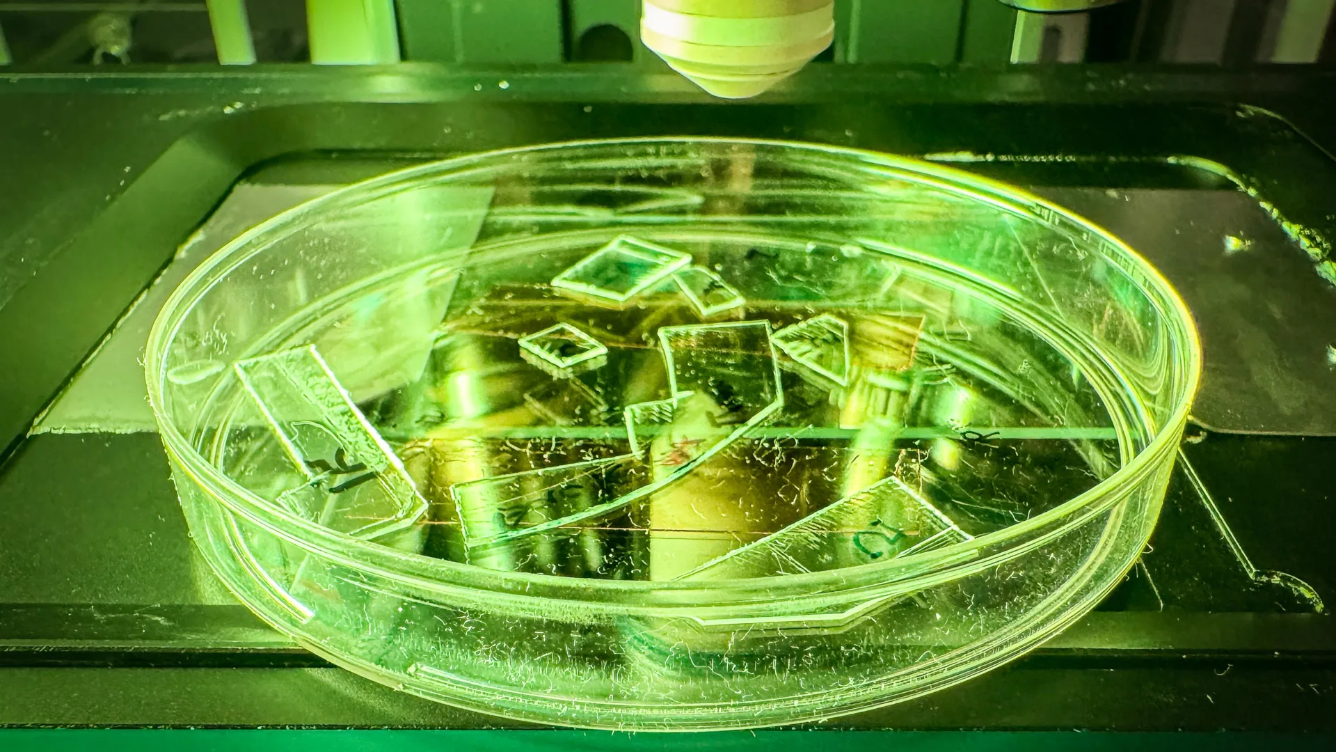 Scientists create plastic that destroys viruses on contact