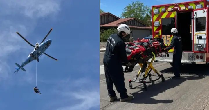 Hiker in critical condition after being stung over 100 times by bees in Arizona – National