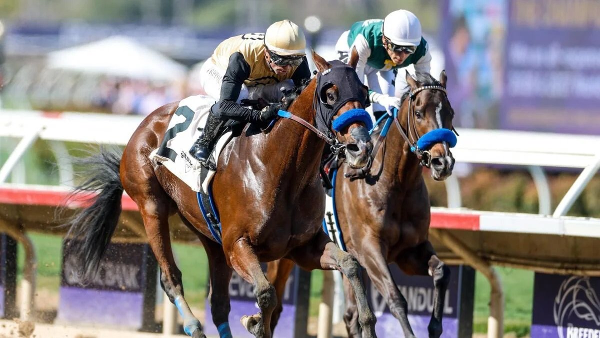 2026 Kentucky Derby predictions, horses, odds, date: Surprising picks via elite horse racing expert