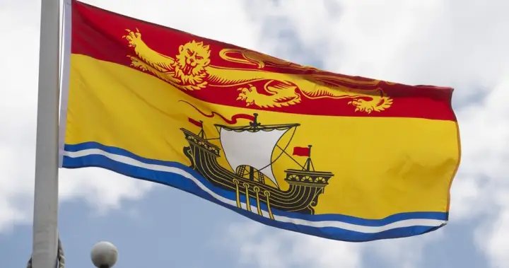 Saint John, N.B., police chief claims officer complaints against him are union tactic – New Brunswick