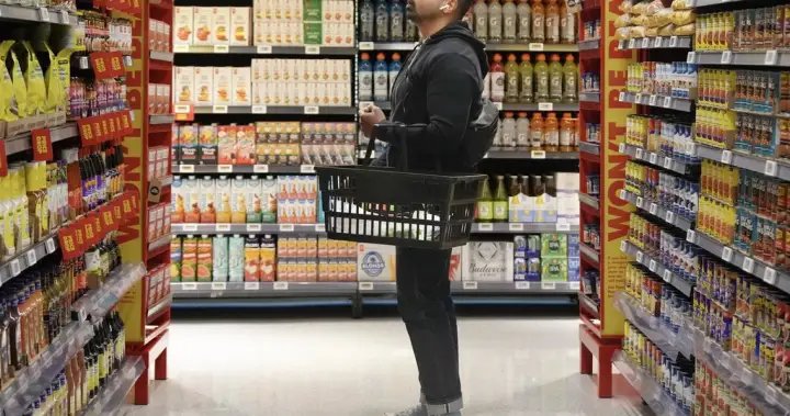 Canadians to receive one-time grocery benefit payment on June 5 – National