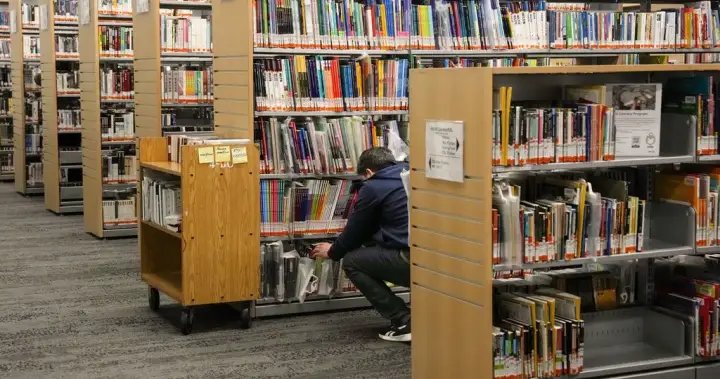 Alberta introduces bill to reduce child access to sex images in public libraries