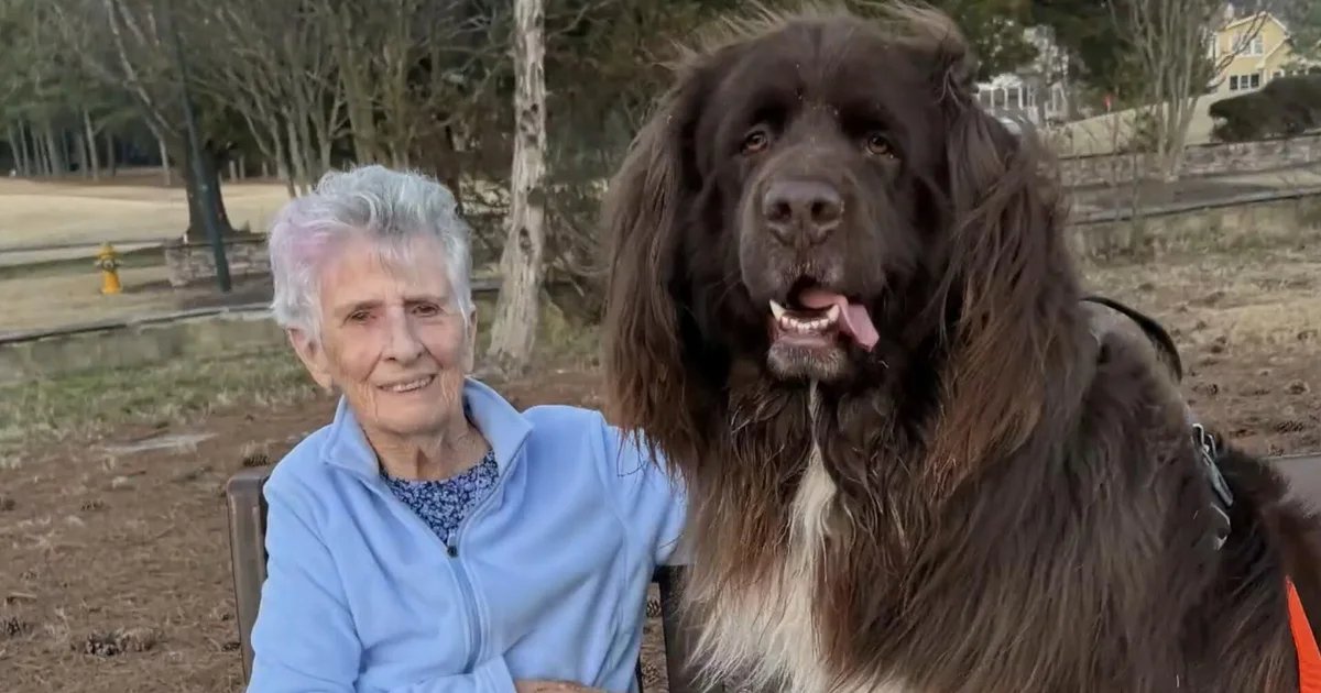 A bond between a grandmother and the dog next door