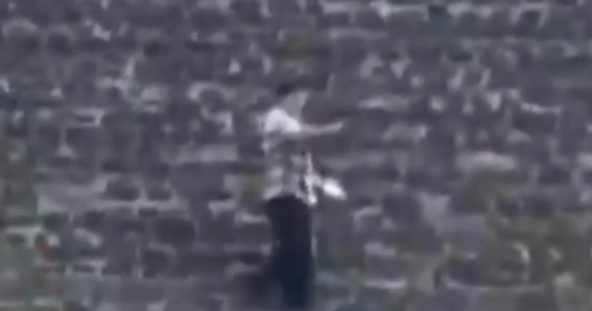 Mexican officials reveal new details about pyramid shooting