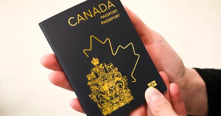 Americans lead interest in claiming dual Canadian citizenship by descent – National