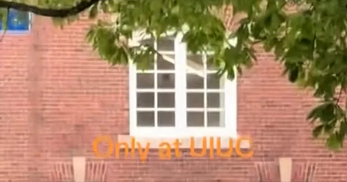 Cow runs loose on University of Illinois campus