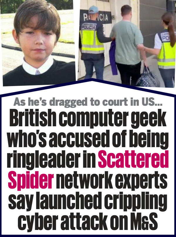 ‘Scattered Spider’ Member ‘Tylerb’ Pleads Guilty – Krebs on Security