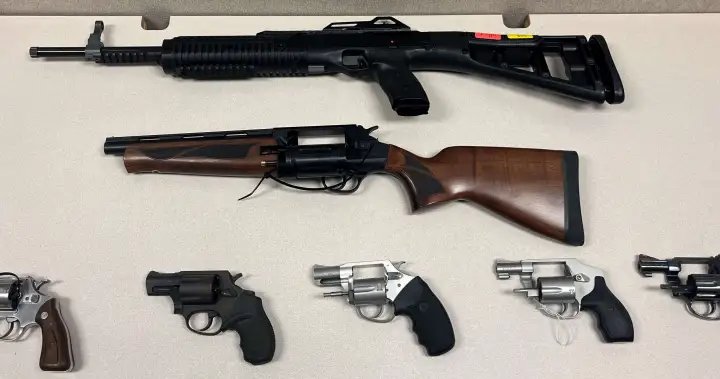 Smuggling charges laid against Manitoba man after guns stolen from the U.S.: RCMP – Winnipeg