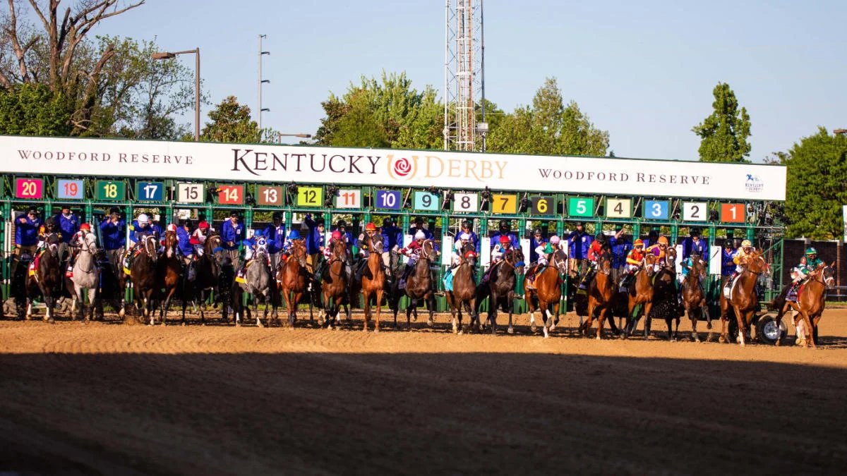 Chief Wallabee profile: 2026 Kentucky Derby odds, post position, history and more to know