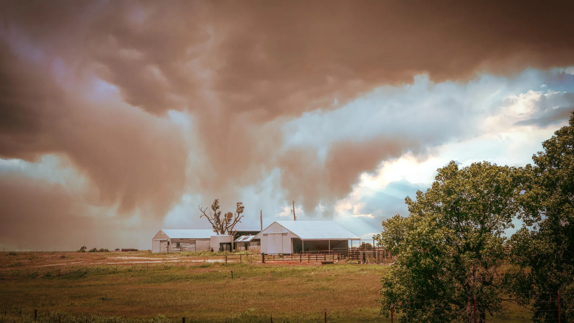 Unusual airborne toxin detected in the U.S. for the first time