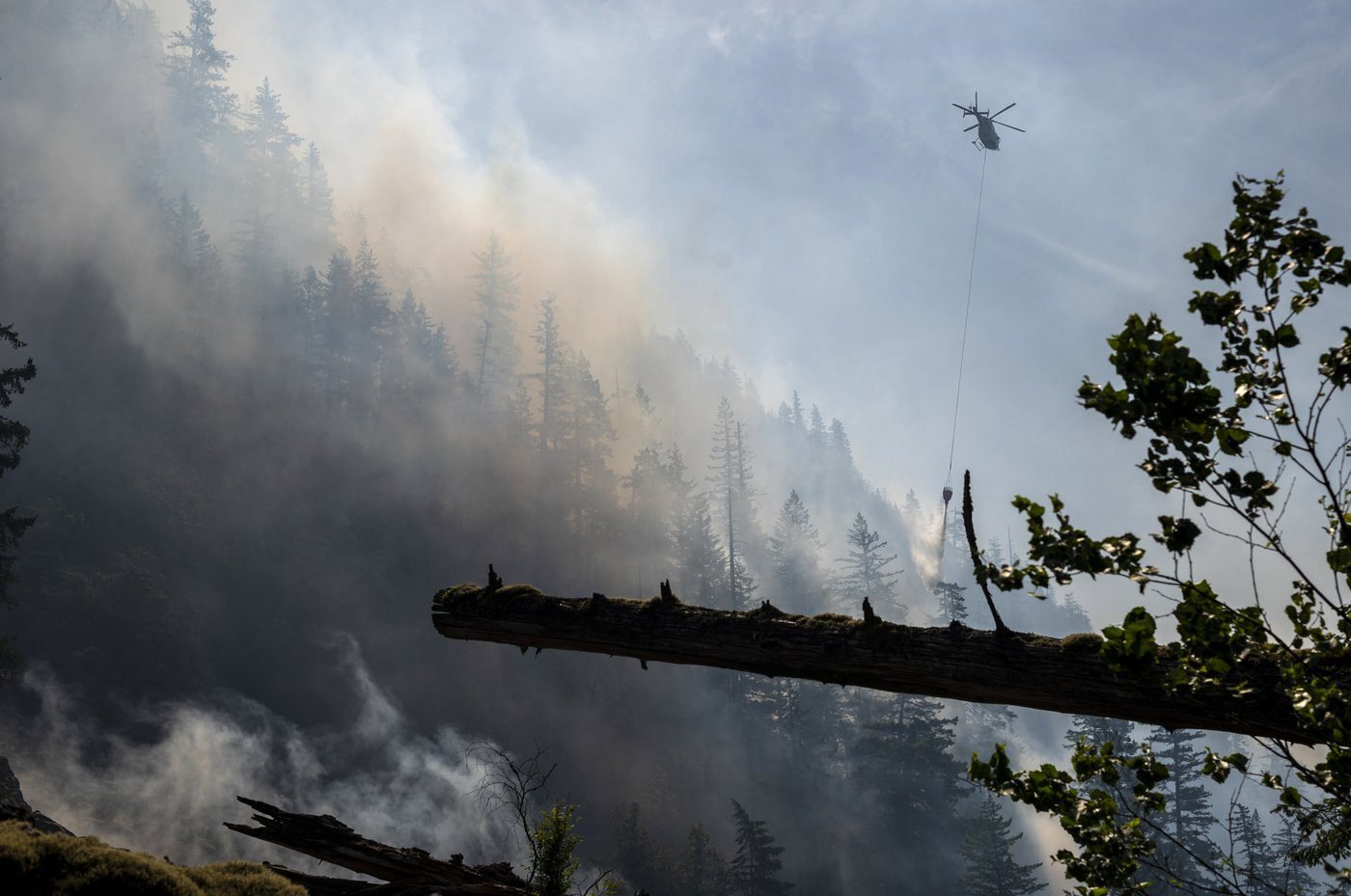 Wet and mild winter is ‘good news’ for B.C. wildfire season, says forecaster