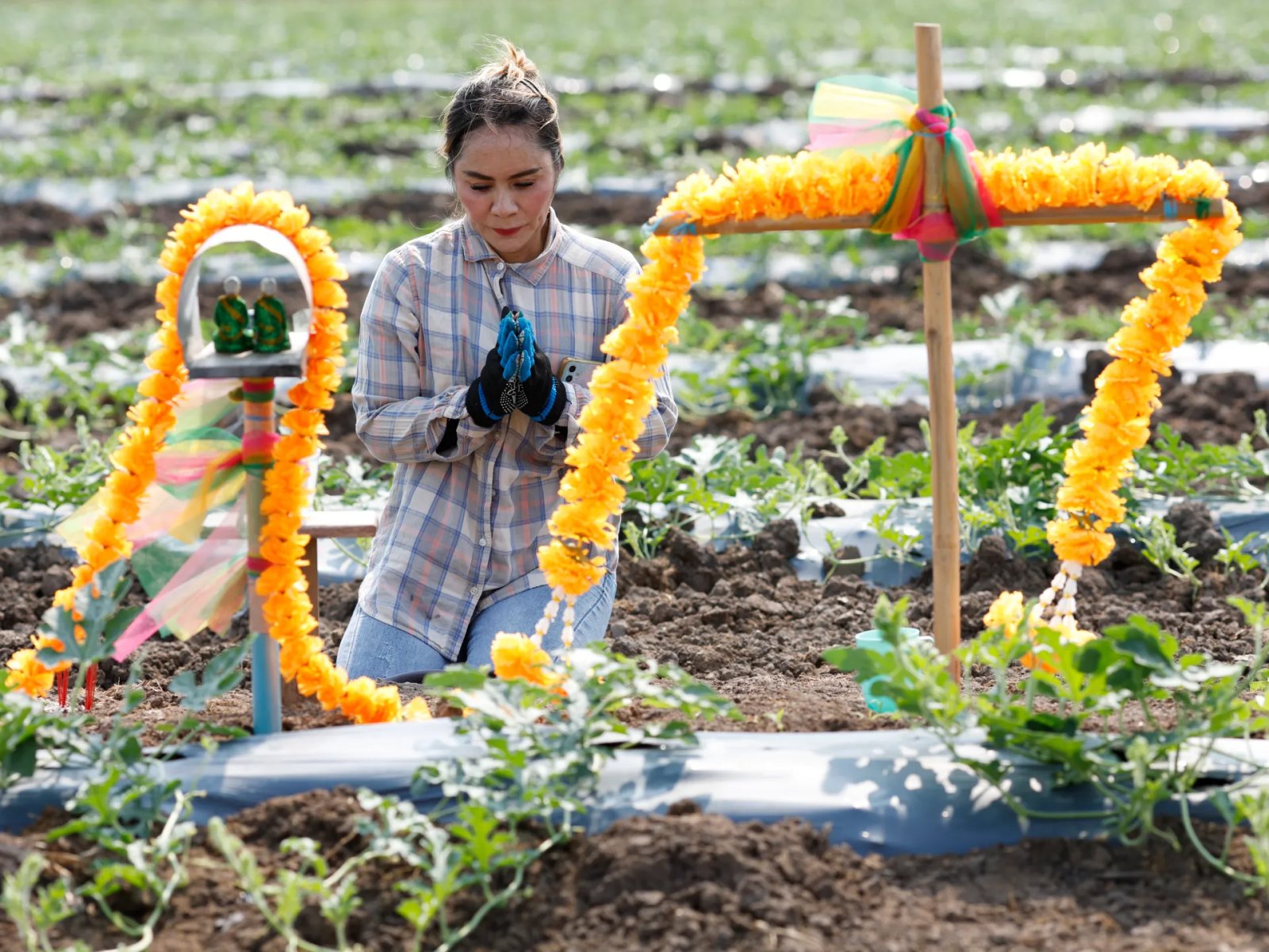 World faces food ‘catastrophe’ if Strait of Hormuz disruption persists: FAO | Food News