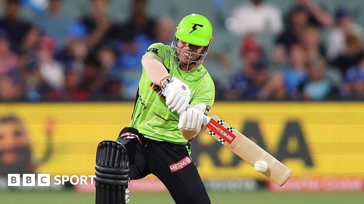 Big Bash League ‘designated batter and fielder’ rule explained
