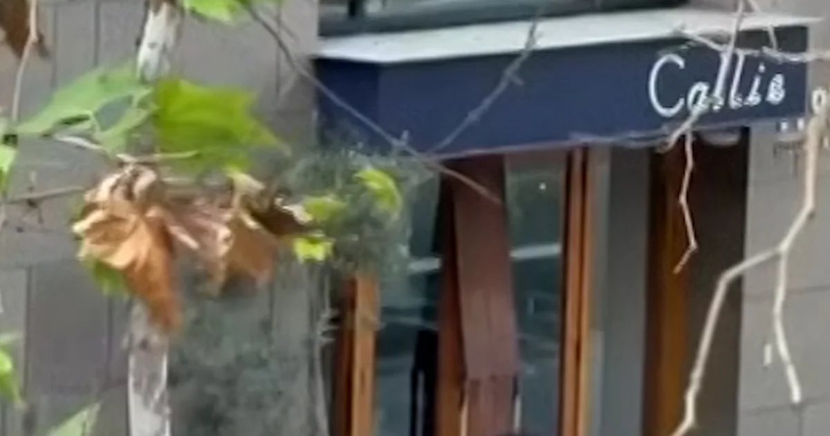 San Diego K-9 unit takes down man wielding 6-foot stick