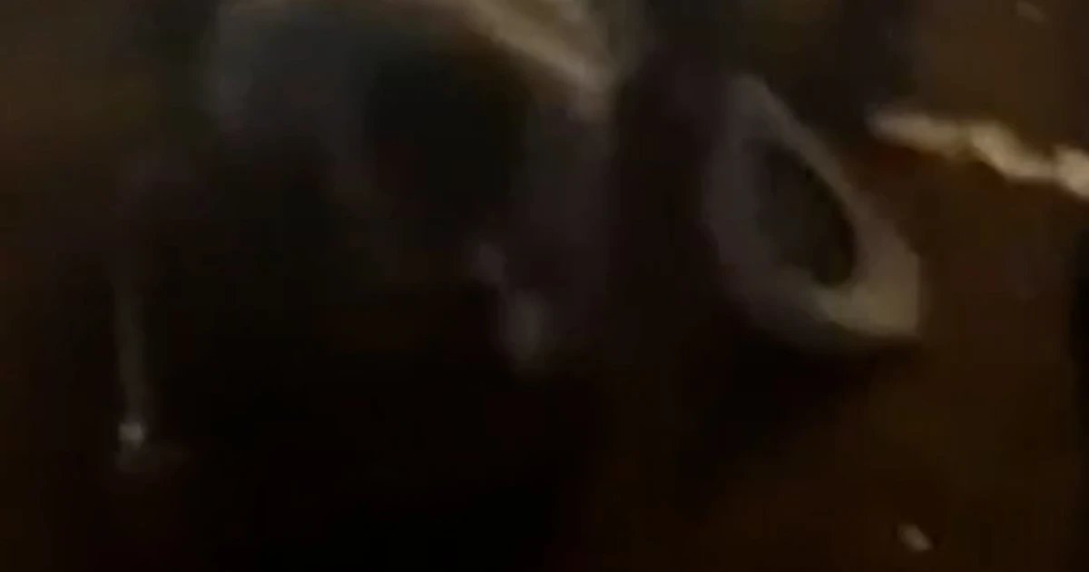 Several injured after stampede at a South Carolina rodeo