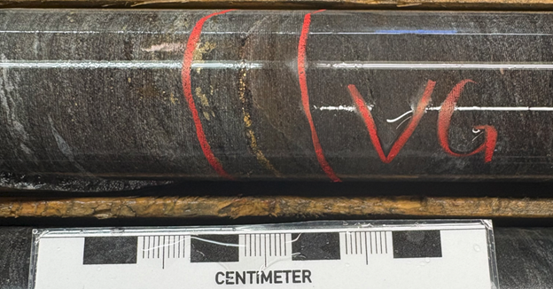 West Red Lake Gold Reports 215.46 g/t Au over 5.35m, 50.34 g/t Au over 4.05m and 61.70 g/t Au over 3m in Austin 904 Complex – Madsen Mine