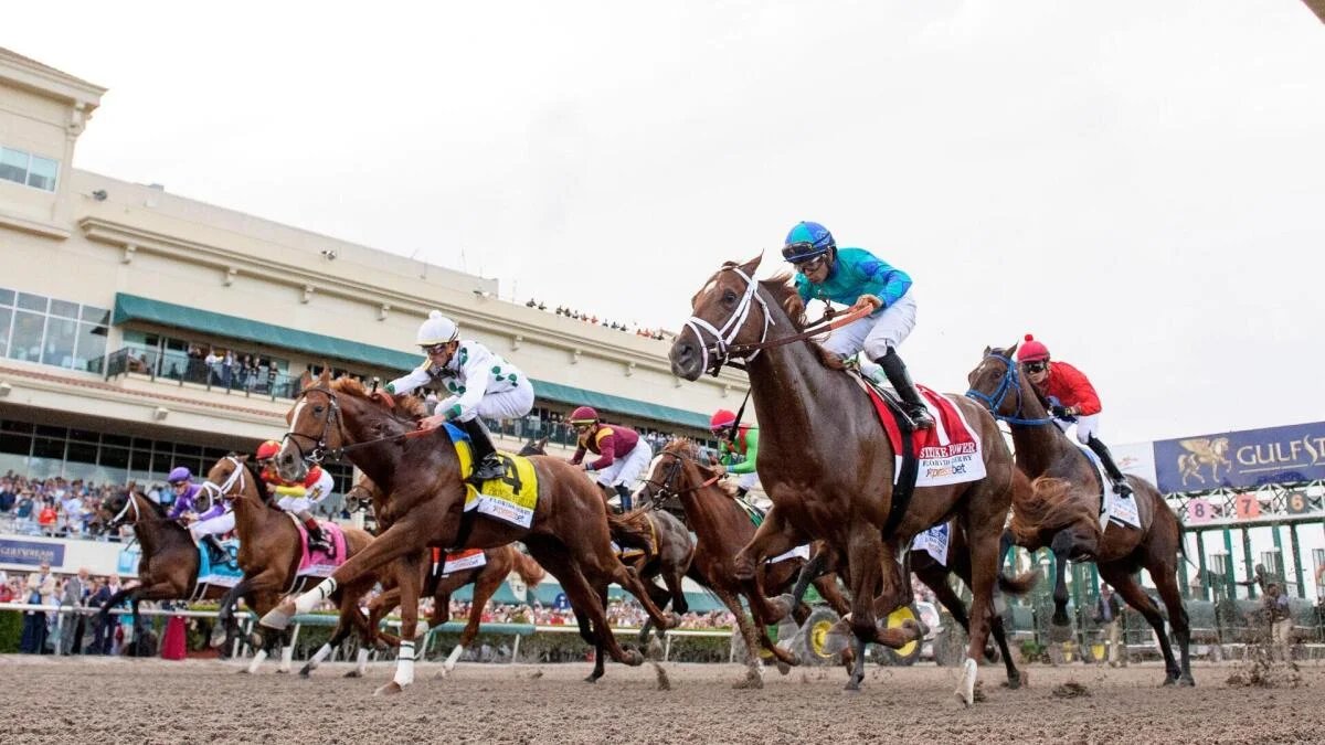 Kentucky Derby 2026 odds, post positions, picks, date, time: Renegade, Commandment, Further Ado expert picks