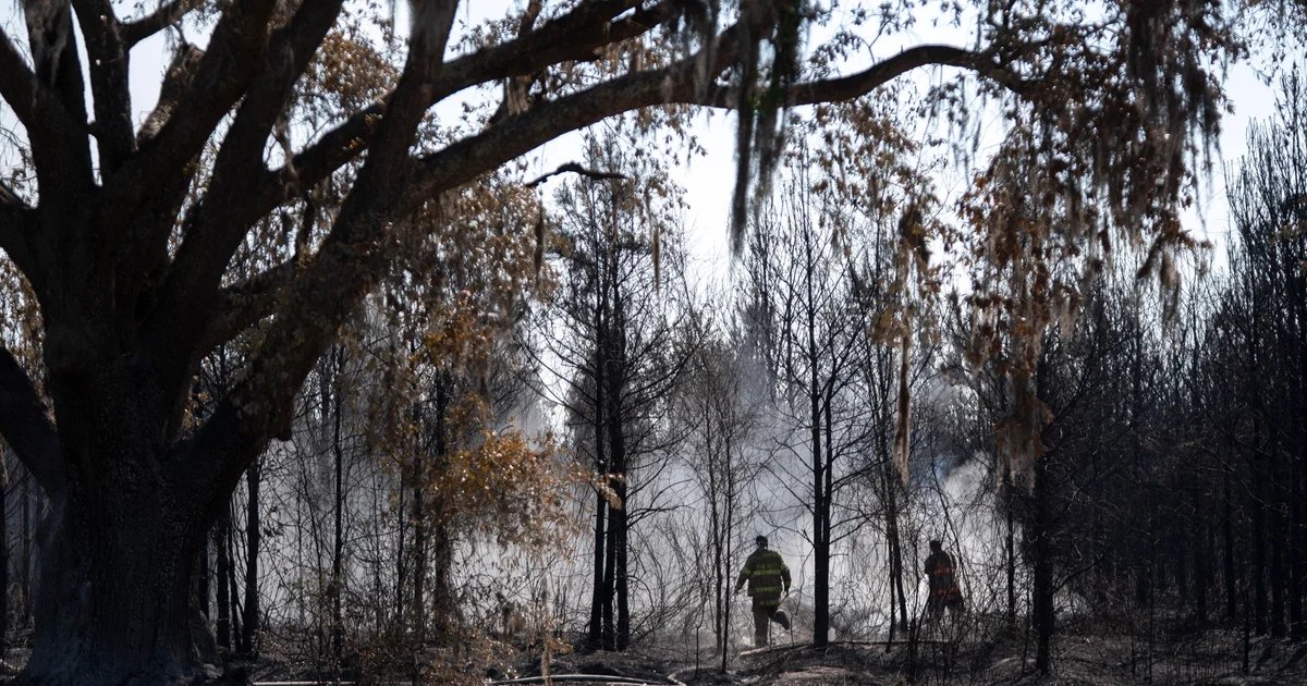 2 massive Georgia wildfires destroy more than 100 homes, scorch over 40,000 acres