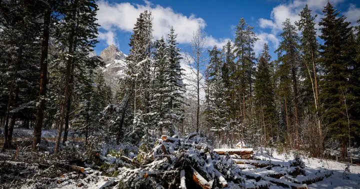 Planned glampsite renews longstanding Canmore, Alta. concerns on growth pressures