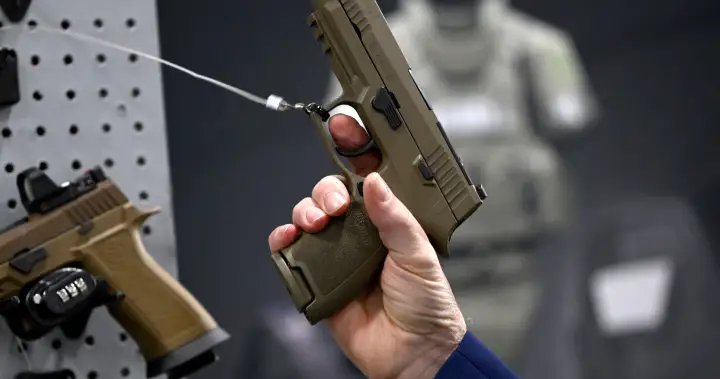 2024 had largest decrease in crimes with a firearm in 10 years: StatCan – National