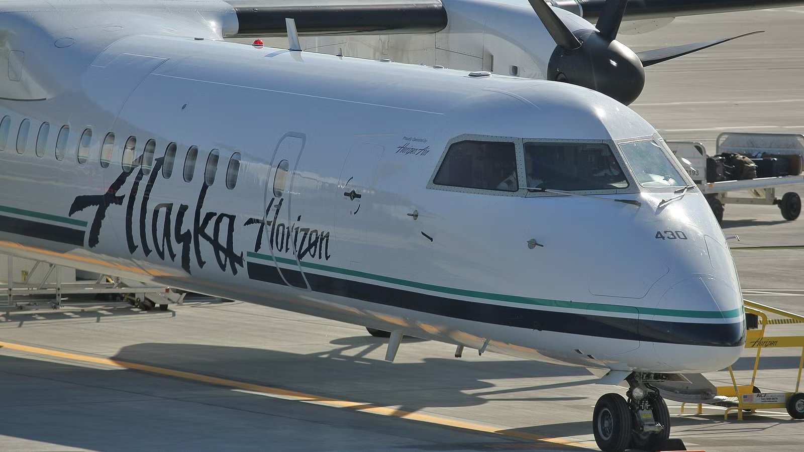 The Tragic True Story Coming to Disney+