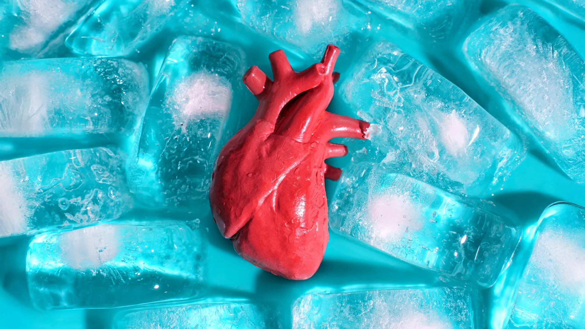 Scientists discover how to freeze transplant organs without cracking them