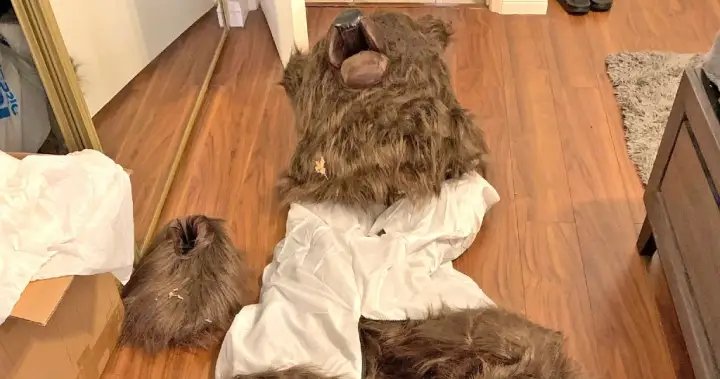 Trio sentenced over ‘bear costume’ insurance fraud scam in California – National