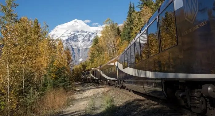 Recipe: Kalamata olive, mint and pumpkin seed tapenade – BC