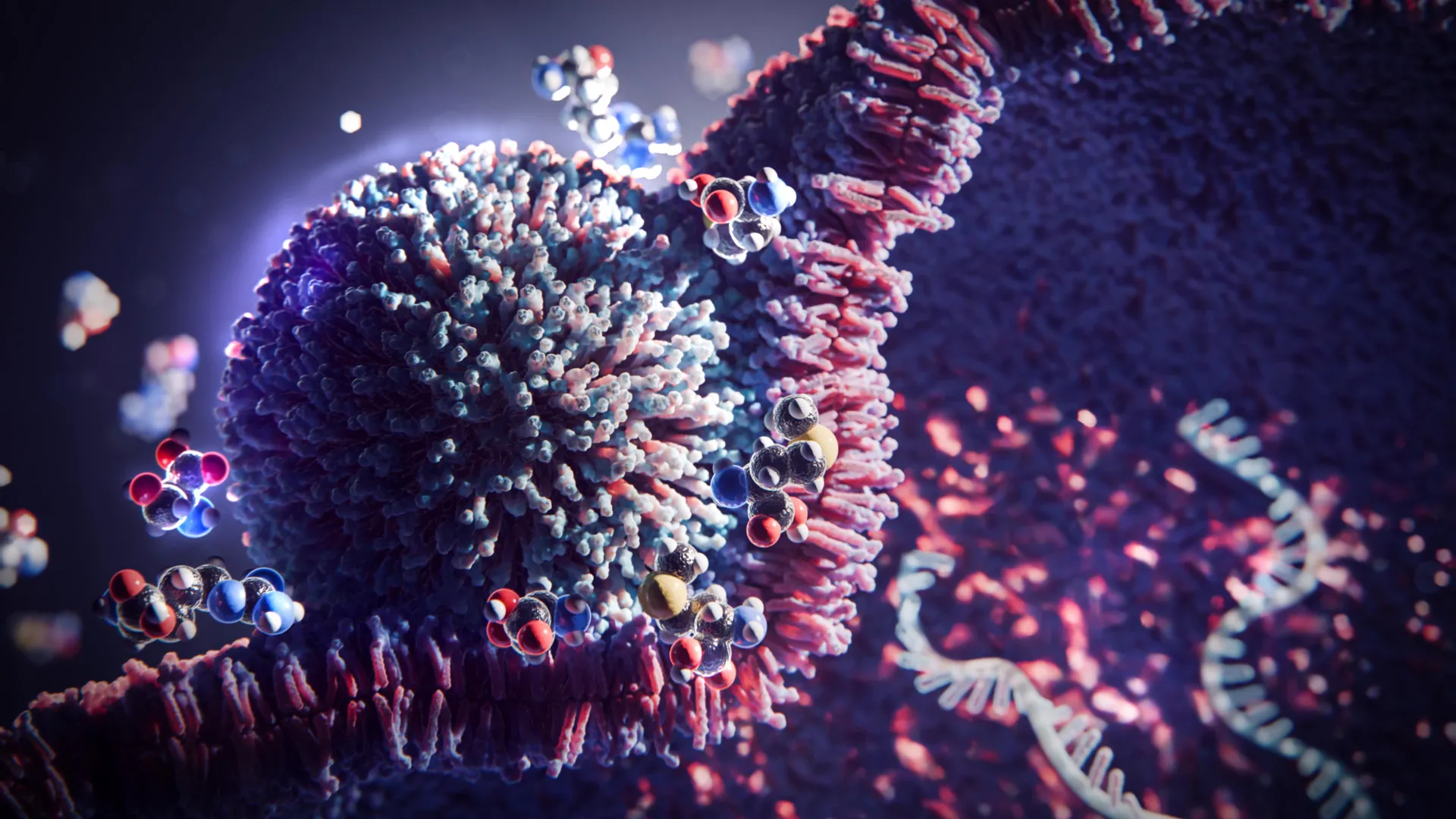 This simple 3-amino acid trick boosts mRNA therapy 20-fold