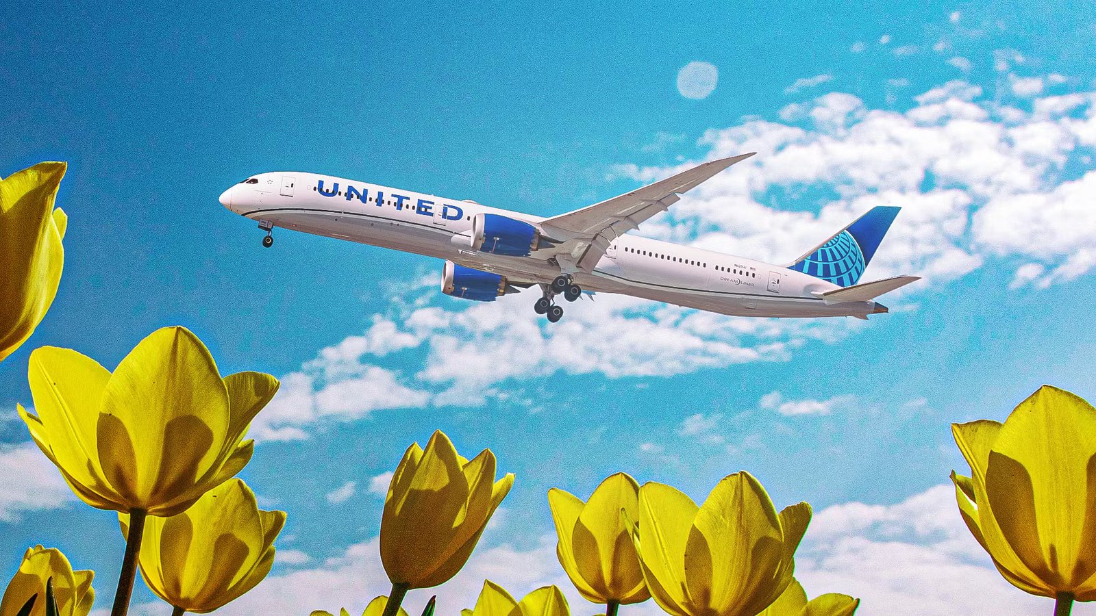 The Longest US Airline Routes Flown By The Boeing 787 Dreamliner