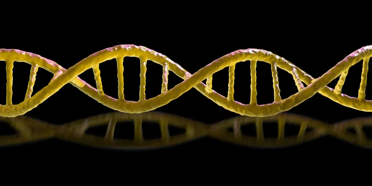 The Download: murderous ‘mirror’ bacteria, and Chinese workers fighting AI doubles