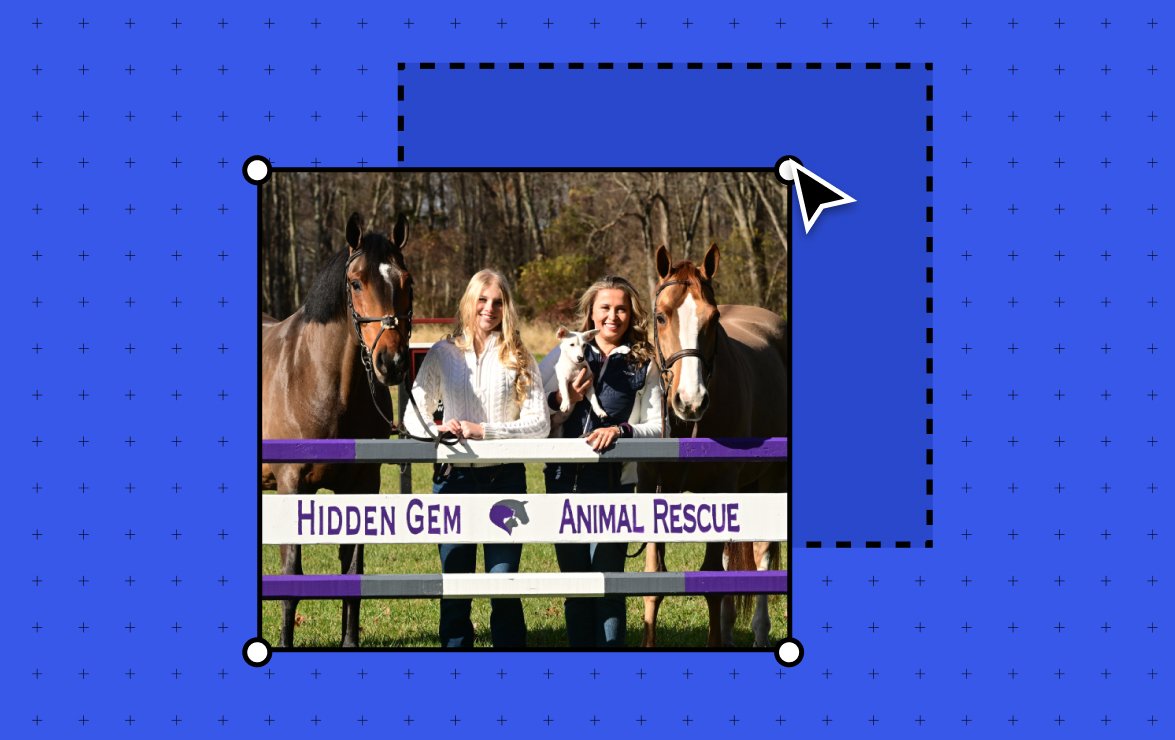 How Murphy Levesque’s WordPress.com Site Helped Rescue 100+ Animals