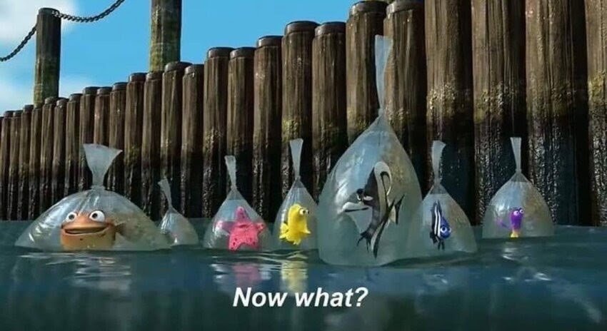 Moon Joy comes down to earth, plus some good sports stories, Poilievre’s political obit, and Canada Good News