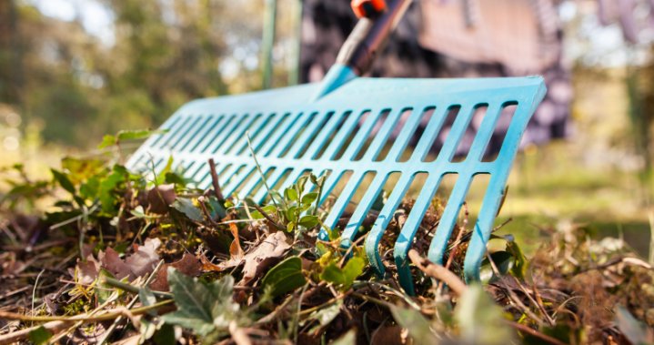Outdoor spring cleaning guide: Complete checklist for a fresh yard – National