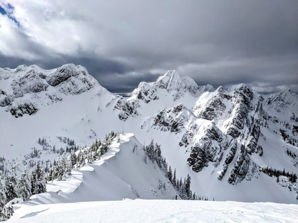 Neuroscientist sues B.C. hostel, claims bunk bed collapse caused brain injury