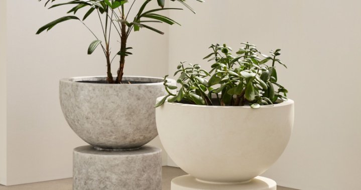 The Curator: The most aesthetic planters you can buy in Canada right now – National