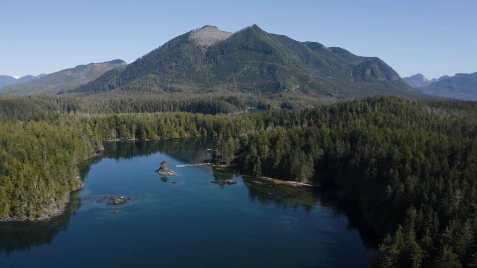 'We got it all': Nuchatlaht First Nation wins title over entire 210 sq. km claim