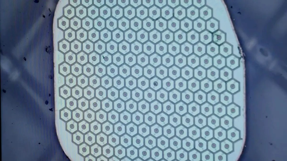 Max Hodak’s Science Corp. is preparing to place its first sensor in a human brain