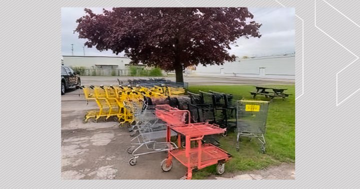 Brampton rejects geo-locking system for abandoned carts, sticks with $100 fine